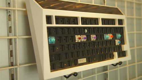 佳達(dá)隆工廠行 多款新品齊發(fā) 見證國(guó)產(chǎn)軸的頂級(jí)盛宴